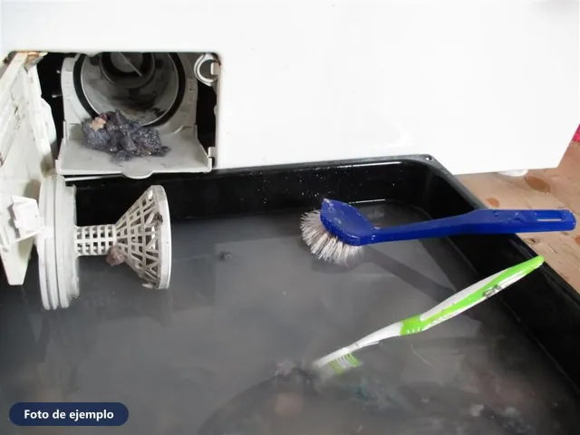 Antes (foto de ejemplo): filtro de la bomba sucio en limpieza
